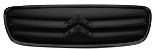GRIGLIA CHIUSA S/CORNICE CROMO CITROEN C2 12/08>