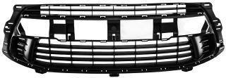 GRIGLIA PARAURTI ANTERIORE CITROEN C4 01/08> -TUV-