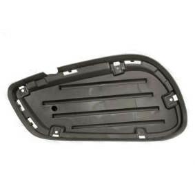 GRIGLIA PARAURTI ANTERIORE SX INT MERCEDES CLASSE E W212 03/13> AMG