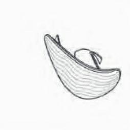 GRUPPO OTTICO RETROVISORE DX BIANCO RENAULT MODUS 09/04>