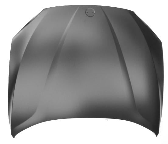 COFANO ANT BMW X5 E70 01/07> X6 E71 01/08>